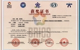 2023年一帶一路暨金磚國家技能發(fā)展與技術(shù)創(chuàng)新大賽新型電力系統(tǒng)的設(shè)計(jì)實(shí)施賽項(xiàng)一等獎